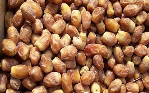 تصویر 1 از خرید و فروش خرما زاهدی پشتکوه با شرایط فوق العاده